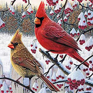 Cardinal Bird | Diamond Painting