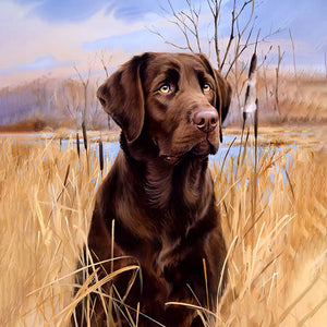 Labrador dans un champ | Diamond Painting