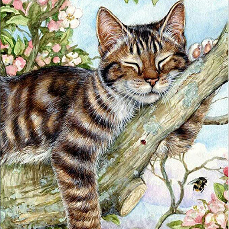 Chat endormi | Diamond Painting