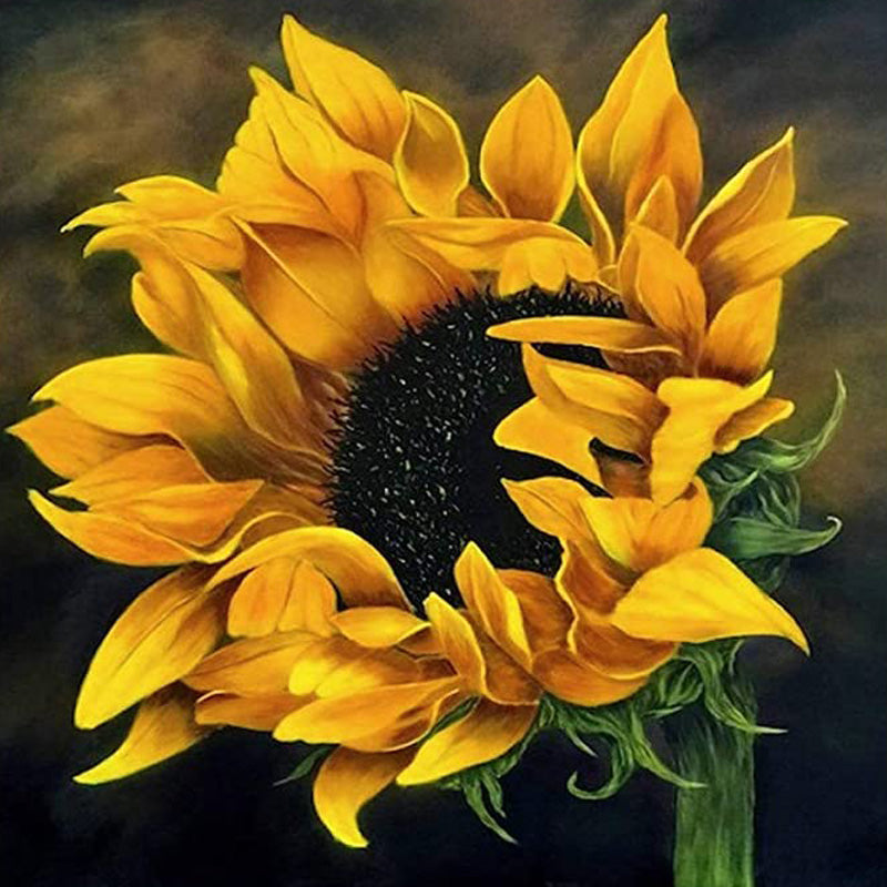 Le tournesol timide | Diamond Painting