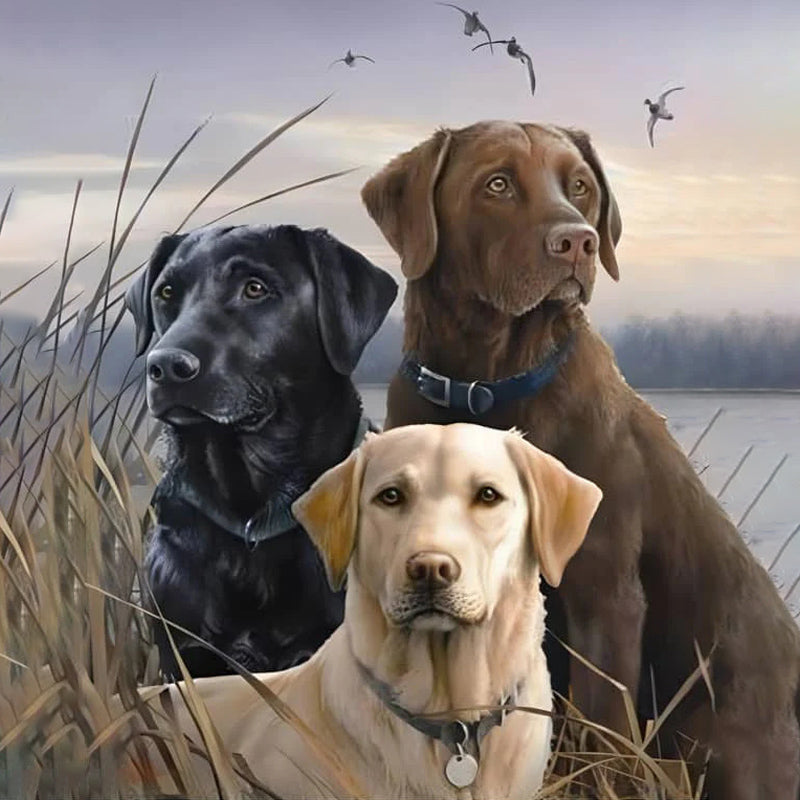 Trois chiens dans un champ | Diamond Painting