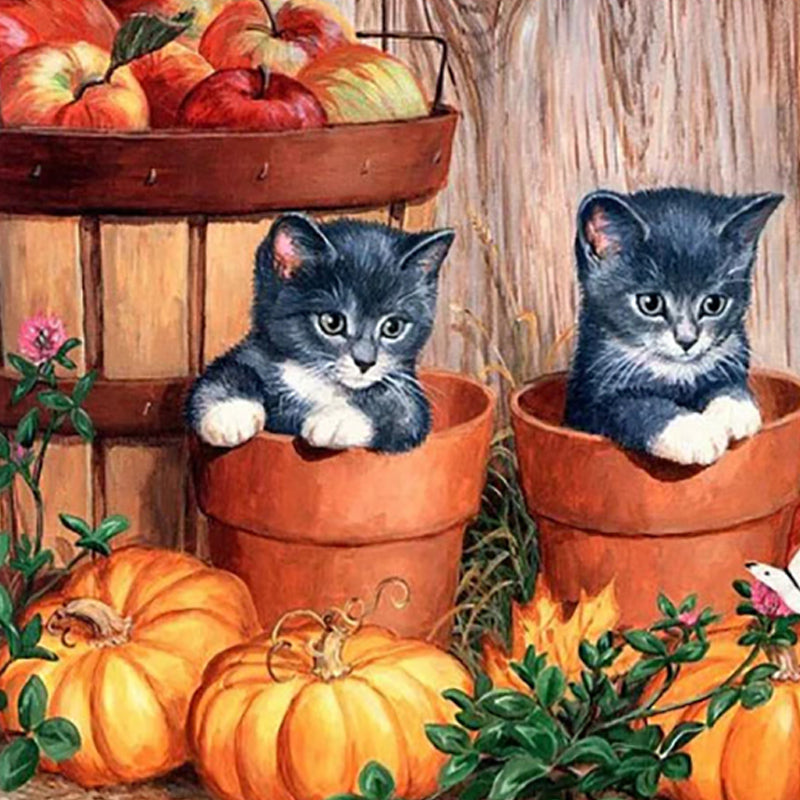 Deux chatons avec une citrouille | Diamond Painting