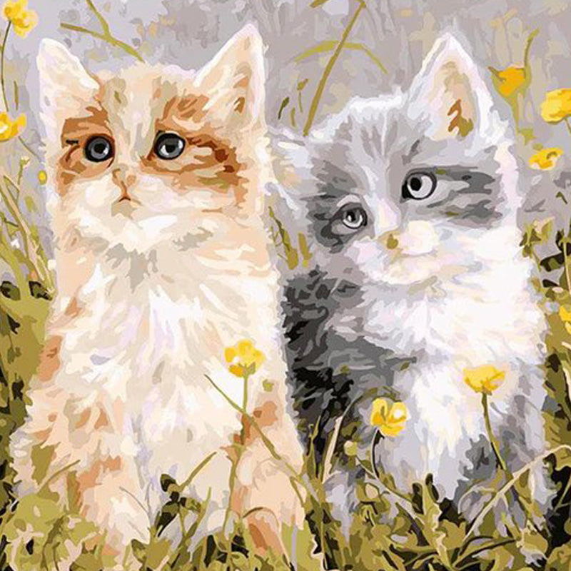 Deux petits chatons | Diamond Painting