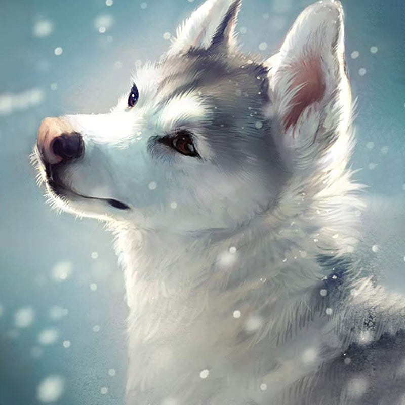 Loup blanc dans la neige | Diamond Painting