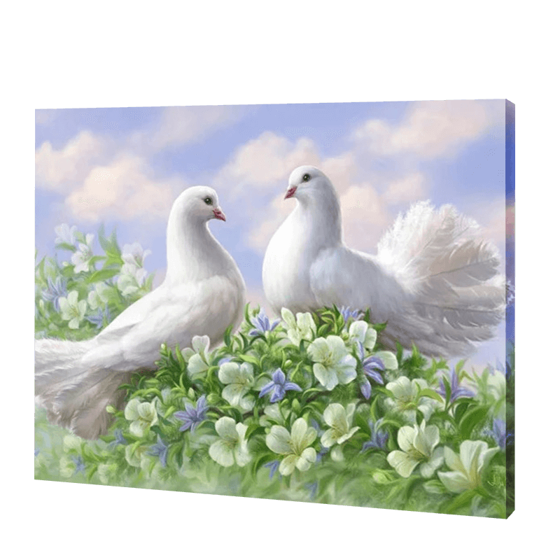 Amour des pigeons | Diamond Painting