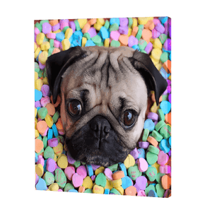 Carlin avec bonbons | Diamond Painting