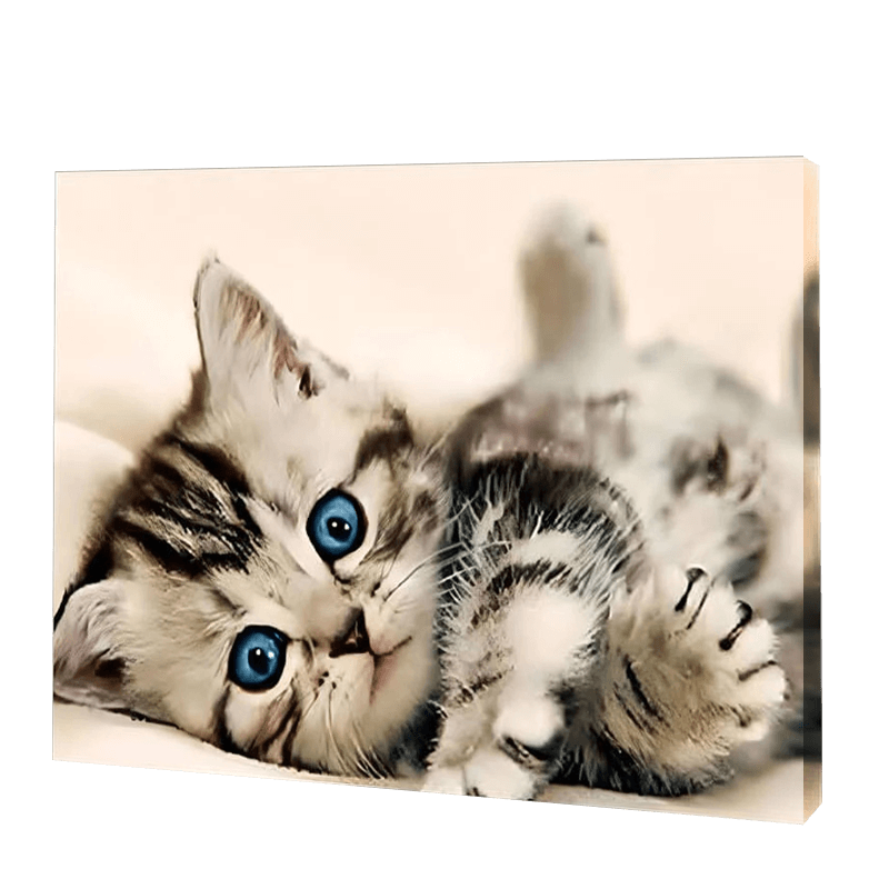 Le chaton aux yeux bleus | Diamond Painting