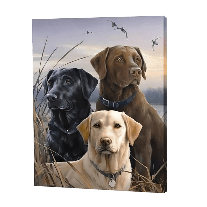 Trois chiens dans un champ | Diamond Painting