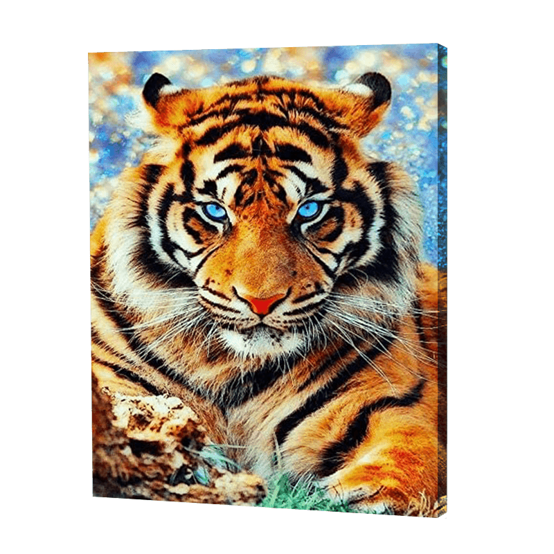 Tigre aux yeux bleus | Diamond Painting