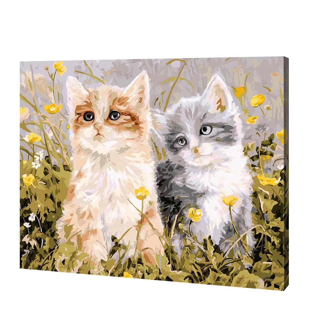 Deux petits chatons | Diamond Painting