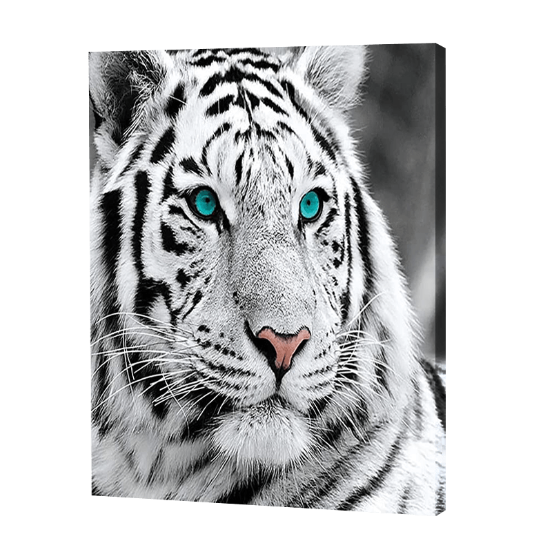 Tigre blanc | Diamond Painting